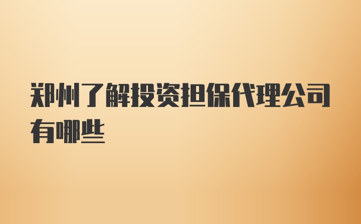 郑州了解投资担保代理公司有哪些