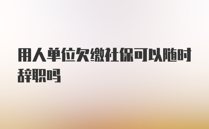 用人单位欠缴社保可以随时辞职吗