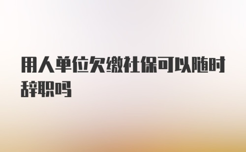 用人单位欠缴社保可以随时辞职吗