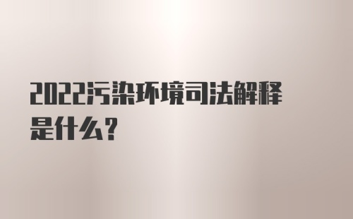 2022污染环境司法解释是什么？