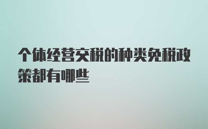 个体经营交税的种类免税政策都有哪些