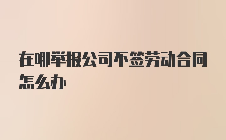 在哪举报公司不签劳动合同怎么办