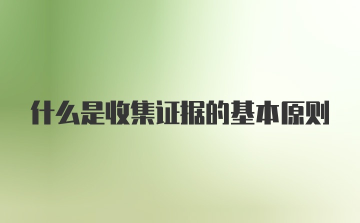什么是收集证据的基本原则
