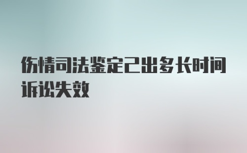 伤情司法鉴定己出多长时间诉讼失效