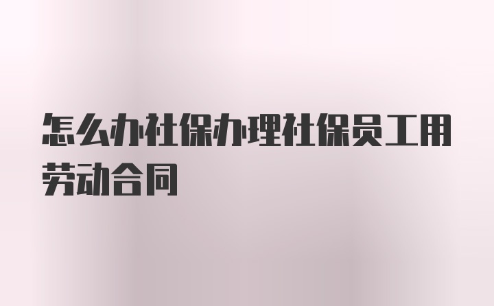 怎么办社保办理社保员工用劳动合同