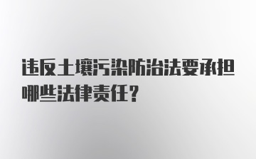 违反土壤污染防治法要承担哪些法律责任？