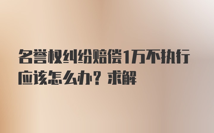 名誉权纠纷赔偿1万不执行应该怎么办？求解