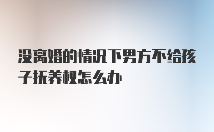 没离婚的情况下男方不给孩子抚养权怎么办