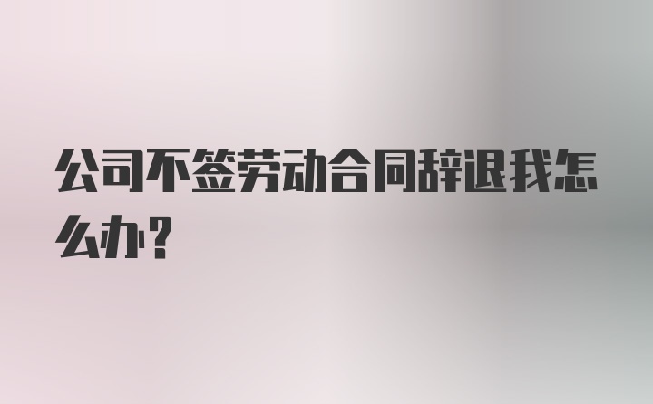 公司不签劳动合同辞退我怎么办？