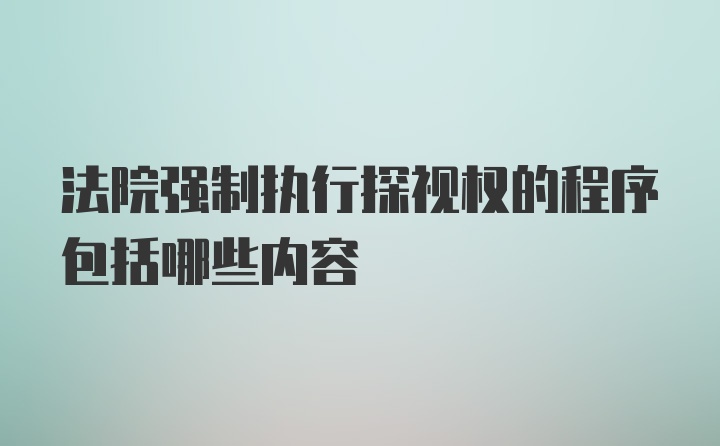 法院强制执行探视权的程序包括哪些内容