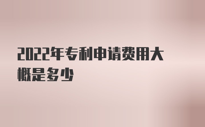 2022年专利申请费用大概是多少