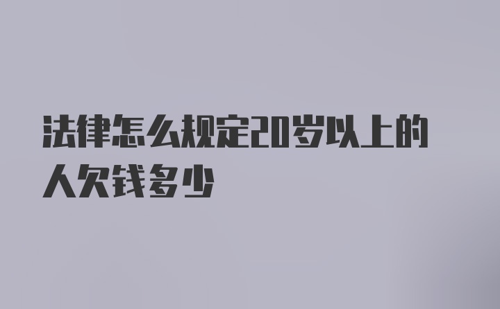 法律怎么规定20岁以上的人欠钱多少