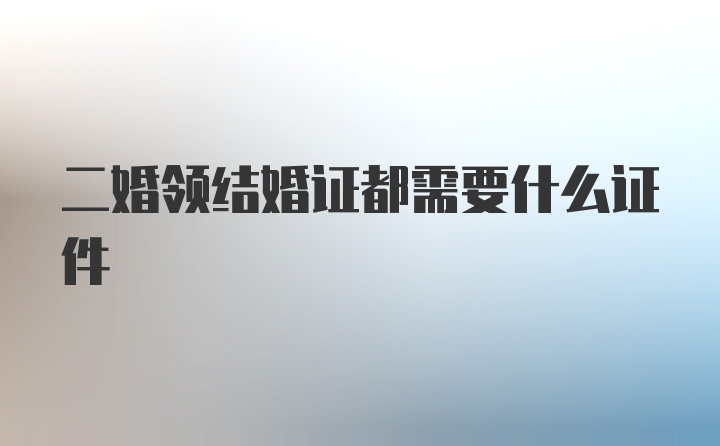 二婚领结婚证都需要什么证件