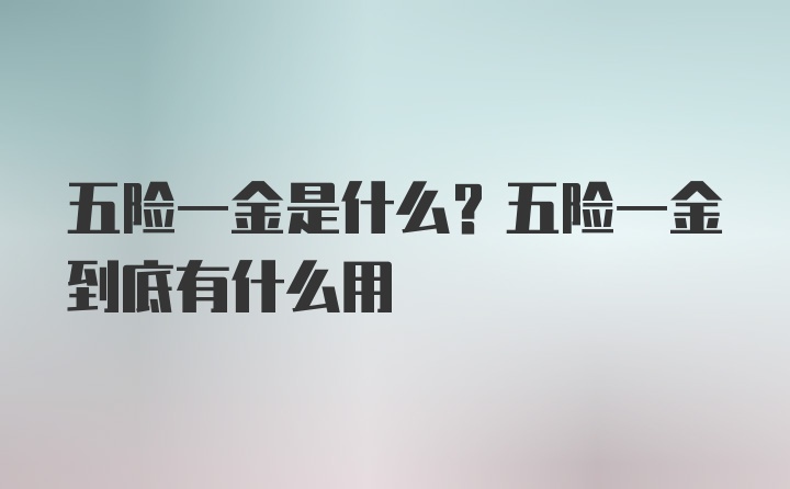 五险一金是什么？五险一金到底有什么用