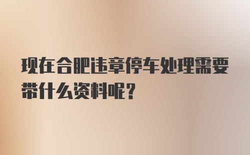 现在合肥违章停车处理需要带什么资料呢？