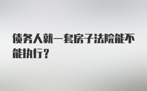 债务人就一套房子法院能不能执行?