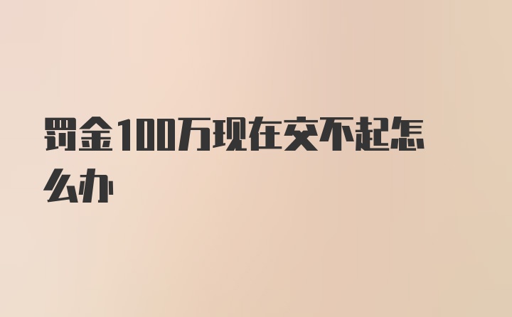 罚金100万现在交不起怎么办