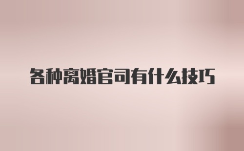 各种离婚官司有什么技巧