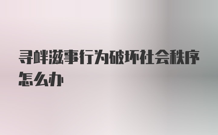 寻衅滋事行为破坏社会秩序怎么办