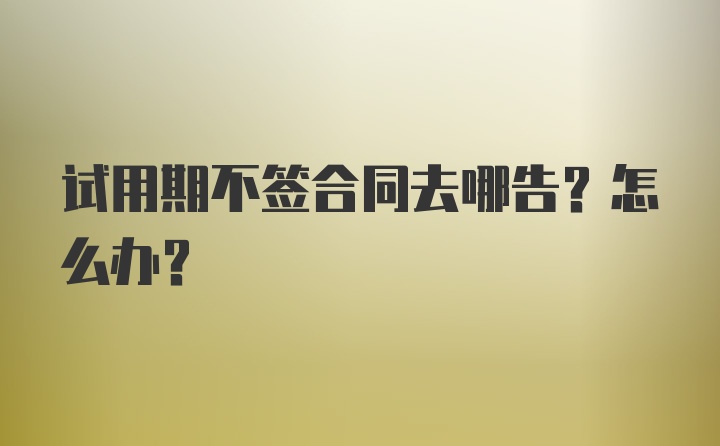 试用期不签合同去哪告？怎么办？