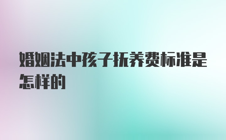 婚姻法中孩子抚养费标准是怎样的