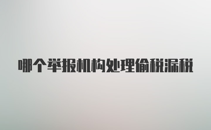 哪个举报机构处理偷税漏税