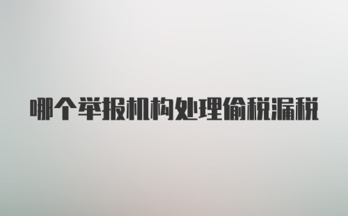 哪个举报机构处理偷税漏税