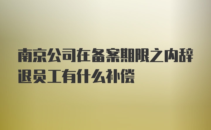 南京公司在备案期限之内辞退员工有什么补偿