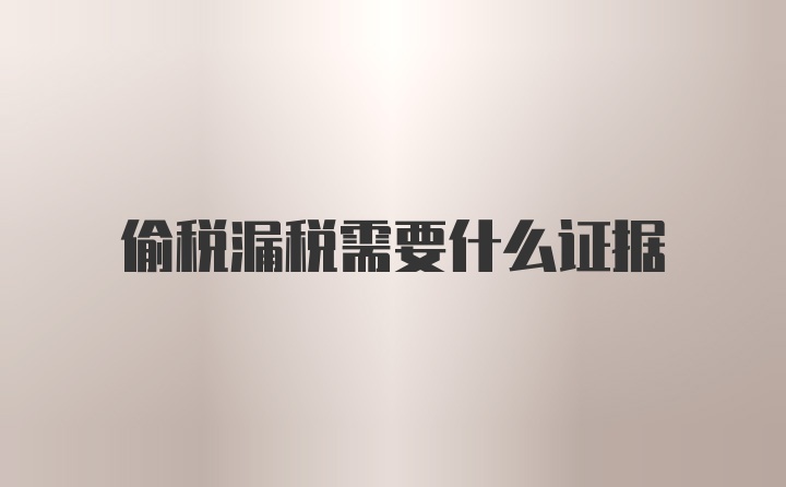 偷税漏税需要什么证据