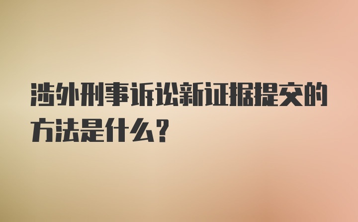 涉外刑事诉讼新证据提交的方法是什么?