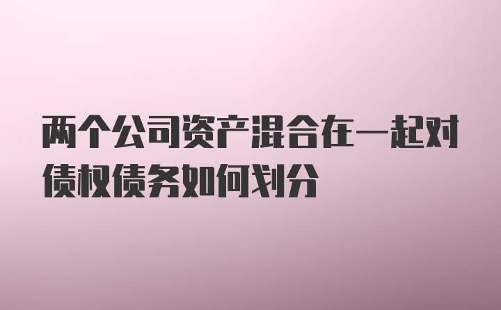 两个公司资产混合在一起对债权债务如何划分