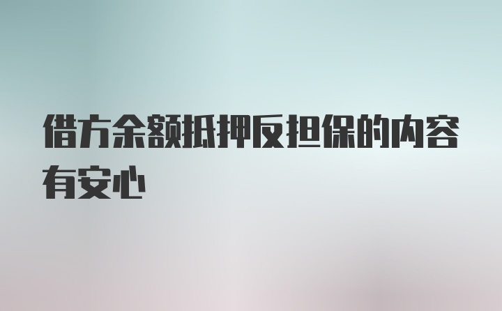 借方余额抵押反担保的内容有安心