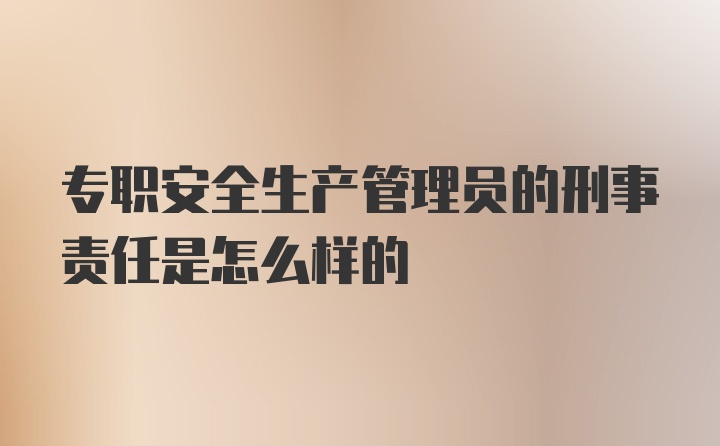 专职安全生产管理员的刑事责任是怎么样的