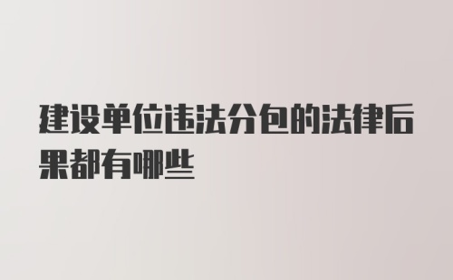 建设单位违法分包的法律后果都有哪些