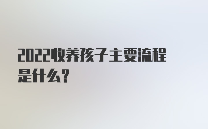 2022收养孩子主要流程是什么？