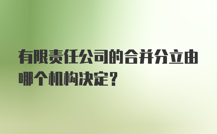 有限责任公司的合并分立由哪个机构决定？