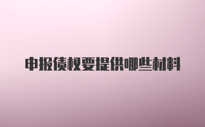 申报债权要提供哪些材料