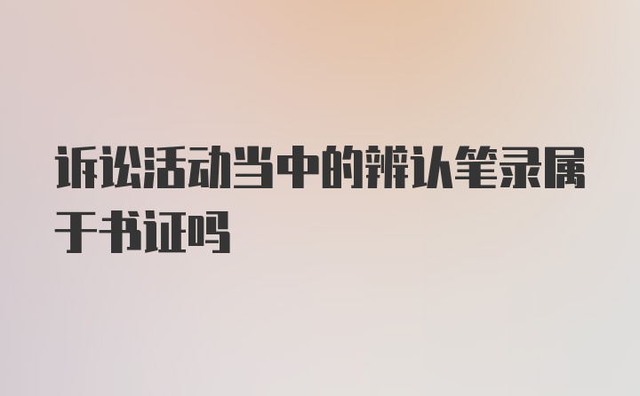 诉讼活动当中的辨认笔录属于书证吗