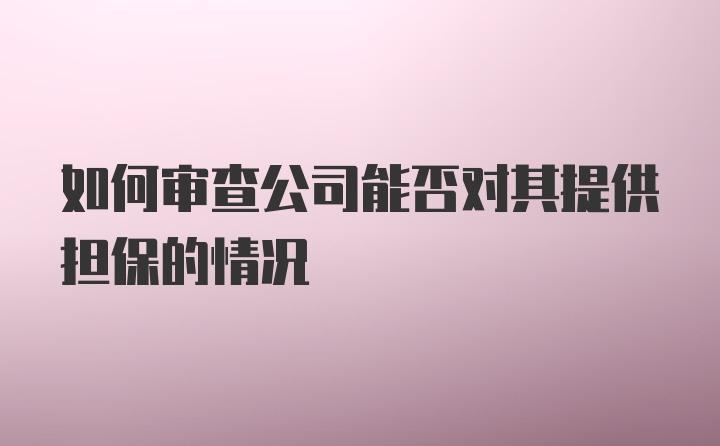 如何审查公司能否对其提供担保的情况