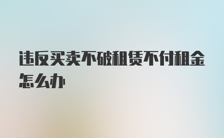 违反买卖不破租赁不付租金怎么办