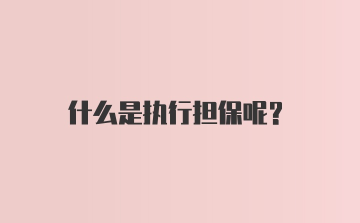 什么是执行担保呢？