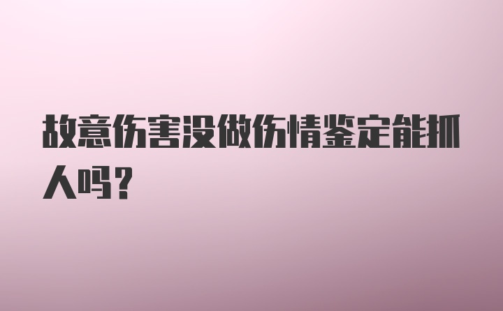 故意伤害没做伤情鉴定能抓人吗?