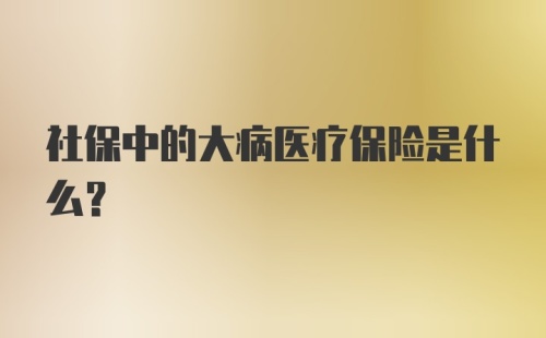 社保中的大病医疗保险是什么?