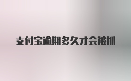 支付宝逾期多久才会被抓