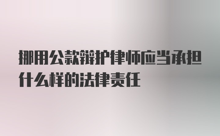 挪用公款辩护律师应当承担什么样的法律责任