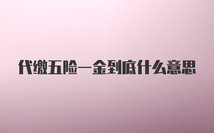 代缴五险一金到底什么意思