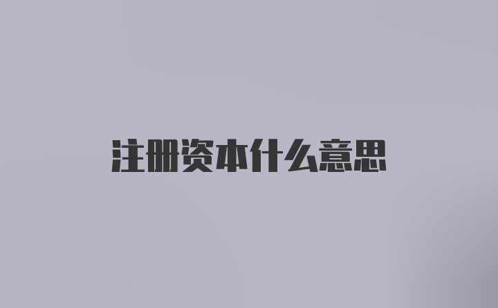 注册资本什么意思