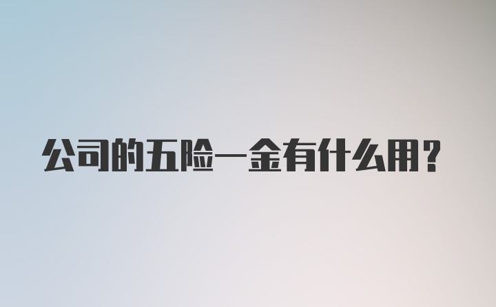 公司的五险一金有什么用？