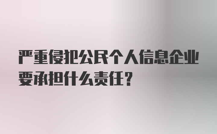 严重侵犯公民个人信息企业要承担什么责任？