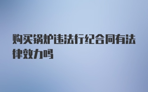 购买锅炉违法行纪合同有法律效力吗